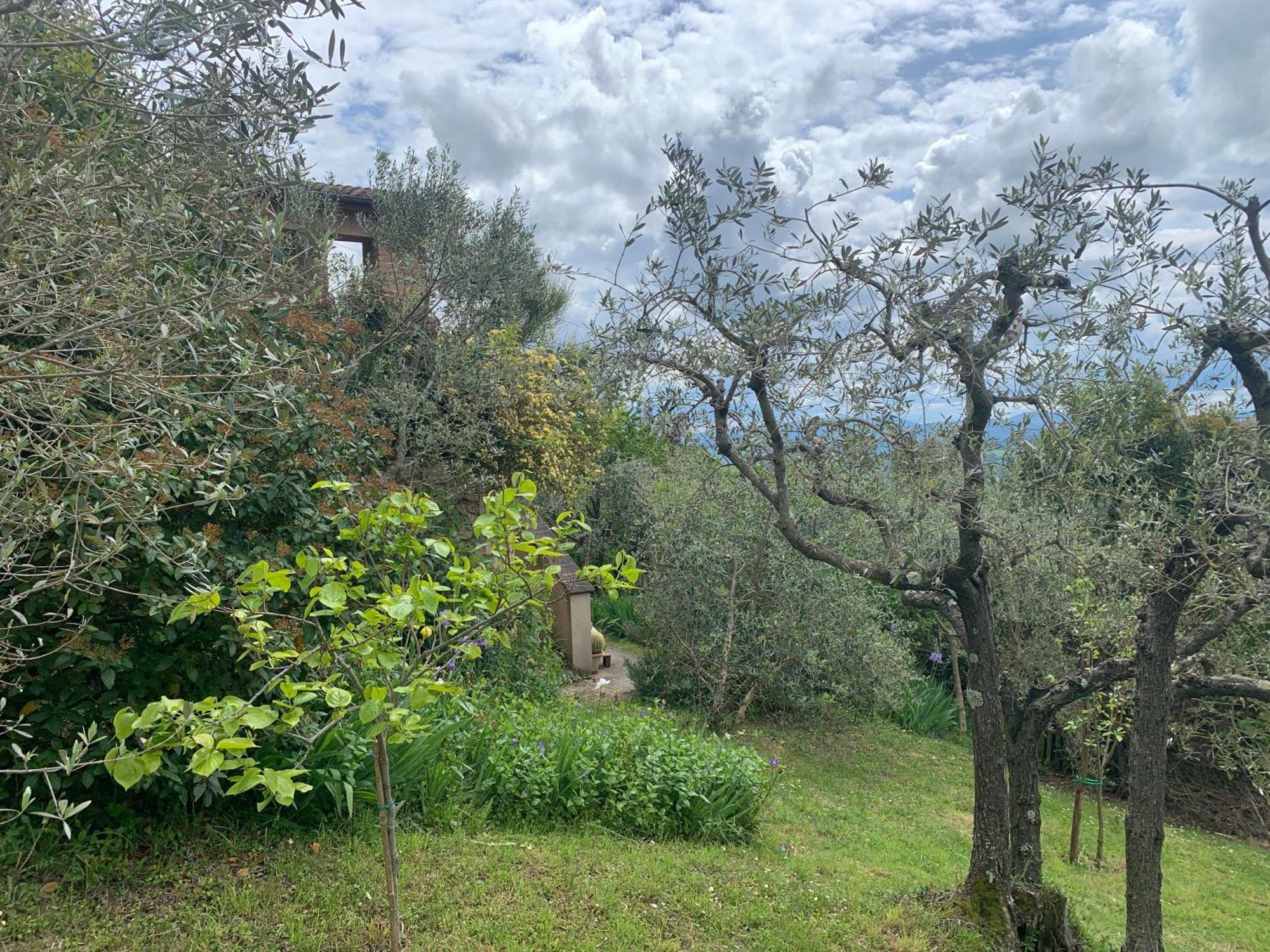 Podere Casallorto Volterra Exteriör bild